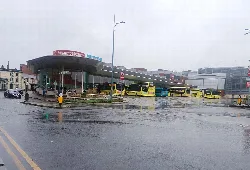 Busbahnhof mit gelben und blauen Bussen an einem Regentag.