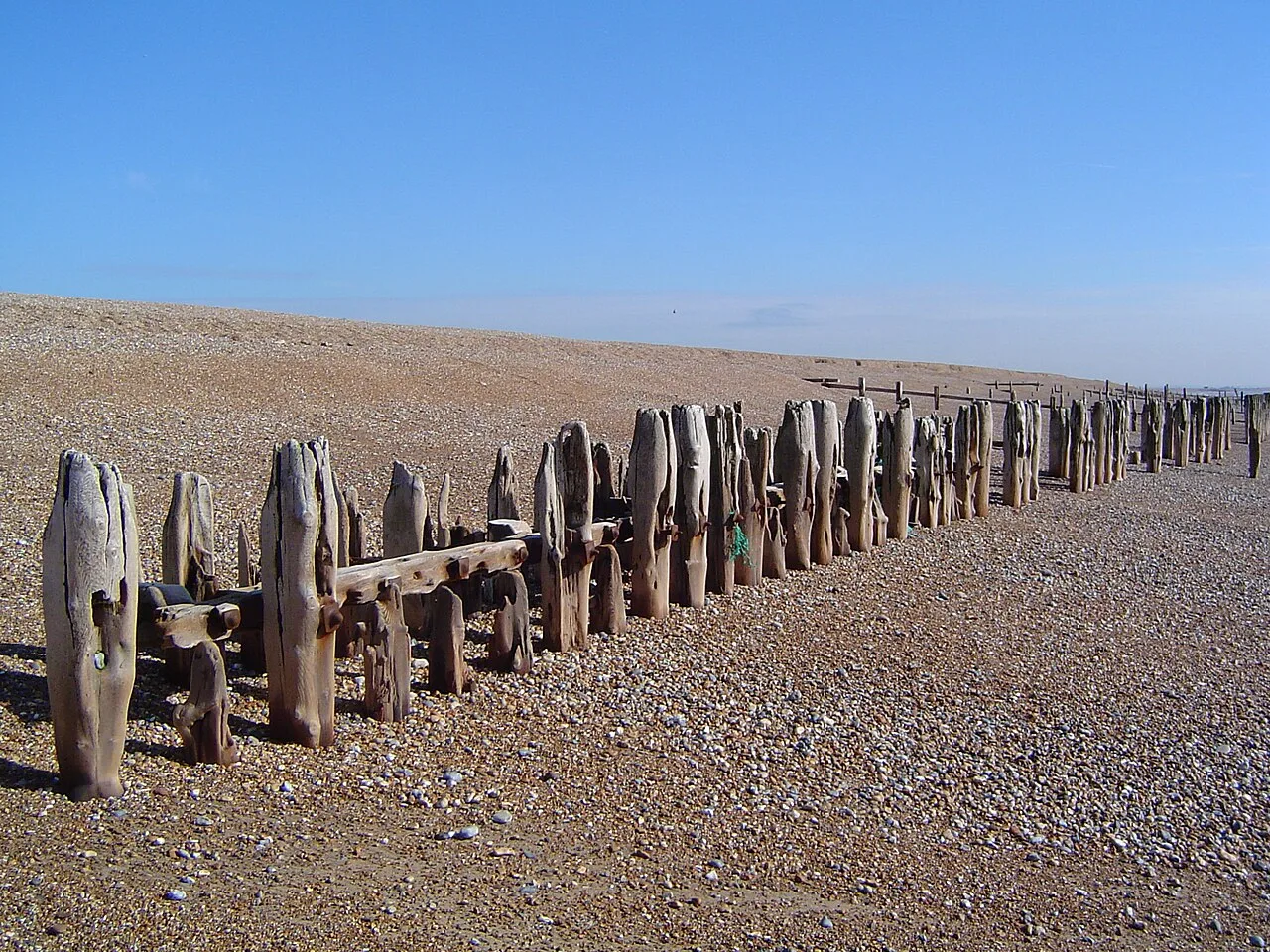 Wooden sea defences on a pebble beach with a blue sky.