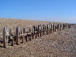 Wooden sea defences on a pebble beach with a blue sky.