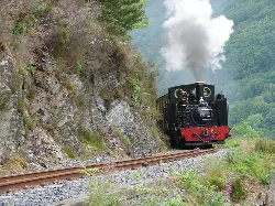 Tren de vapor en vías rodeadas de vegetación y rocas cerca de Aberystwyth.