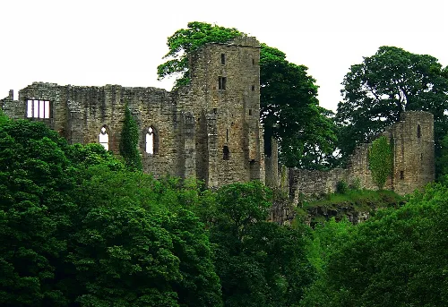 Stone castle ruins with towers and walls, surrounded by trees.