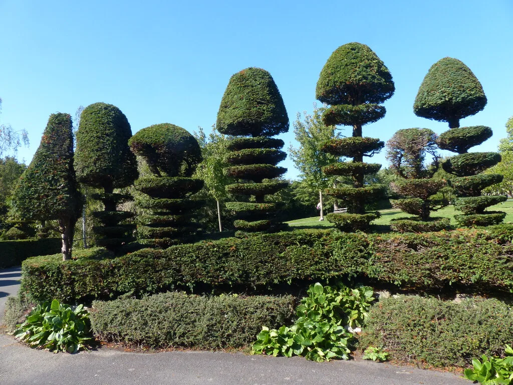 Árboles de topiario con formas en niveles en el Parque Alexandra, Penarth.