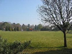 Open park with a tree and a church in the background.