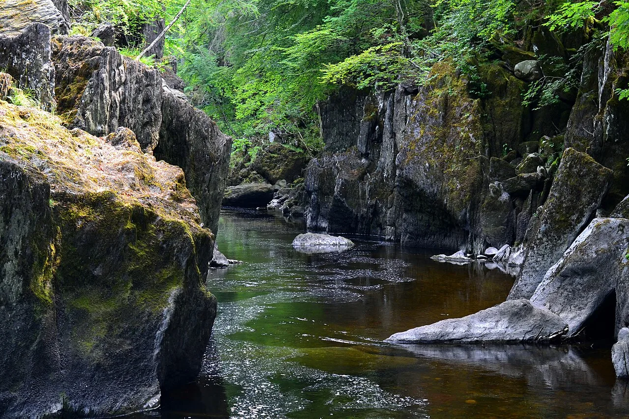 River with mossy rocks and green trees in a forest setting.