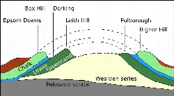 Cross section of geological layers including chalk, Greensand, and Tertiary deposits.